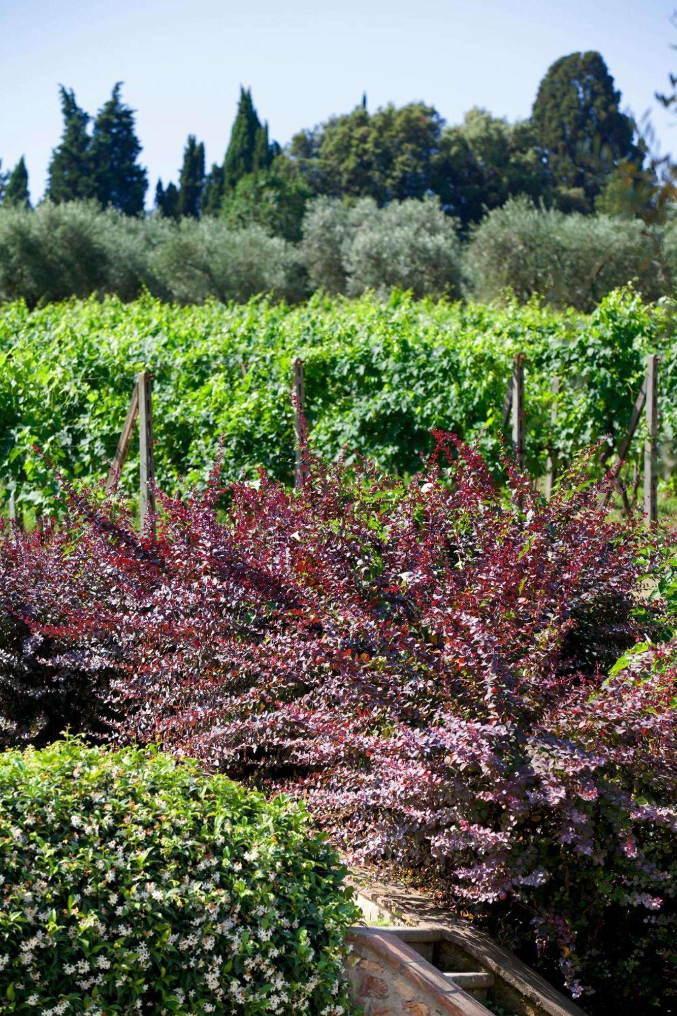 Agriturismo La Casa Di Rodo Quarrata Extérieur photo