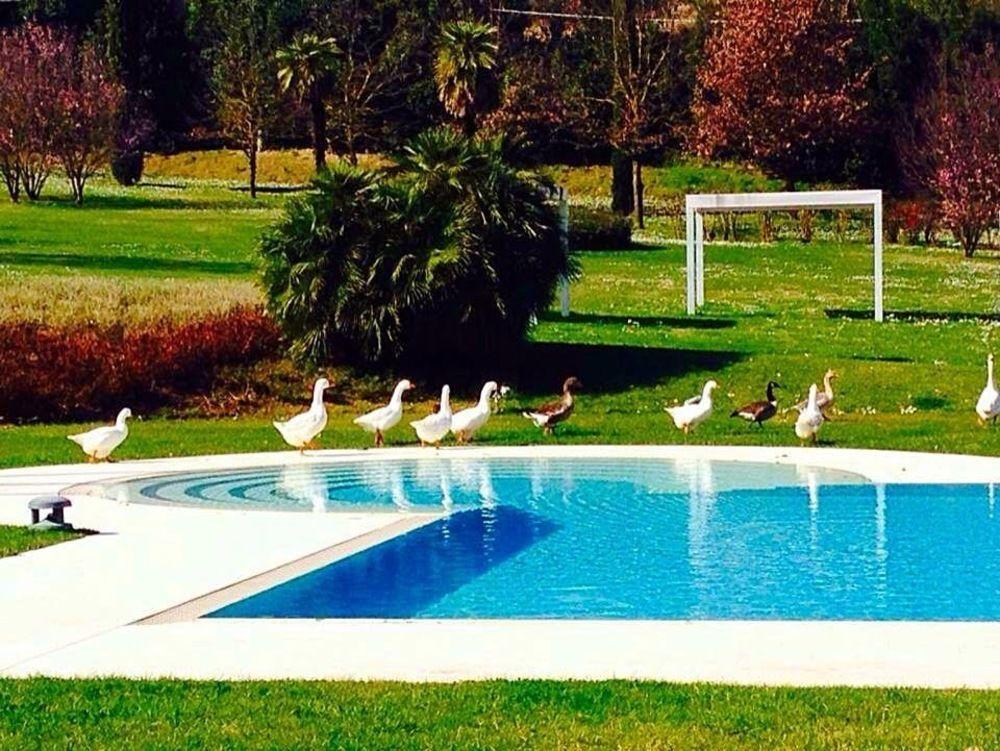 Agriturismo La Casa Di Rodo Quarrata Extérieur photo